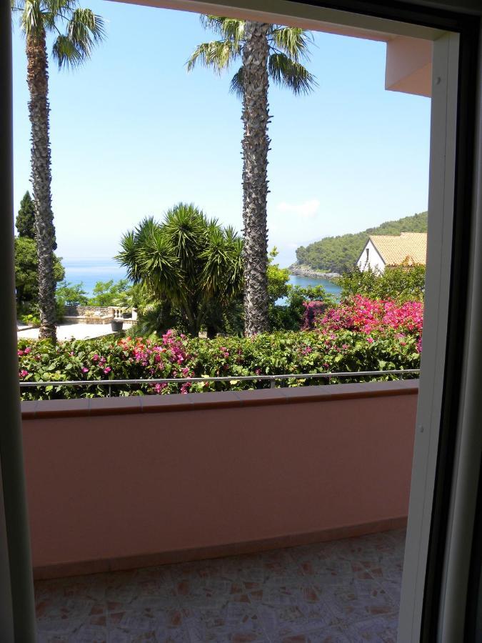 Comfortable Apartment In Maratea With Sea View 95 M² + Parking Exteriör bild